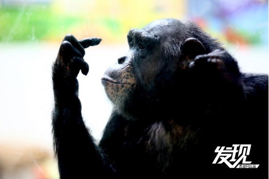 image.png?x-oss-process=style/w10