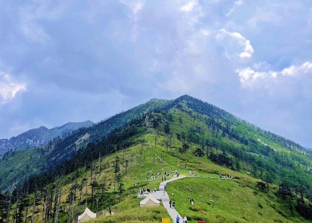 微信圖片_20250724112341.jpg 微信圖片_20250724112341.jpg